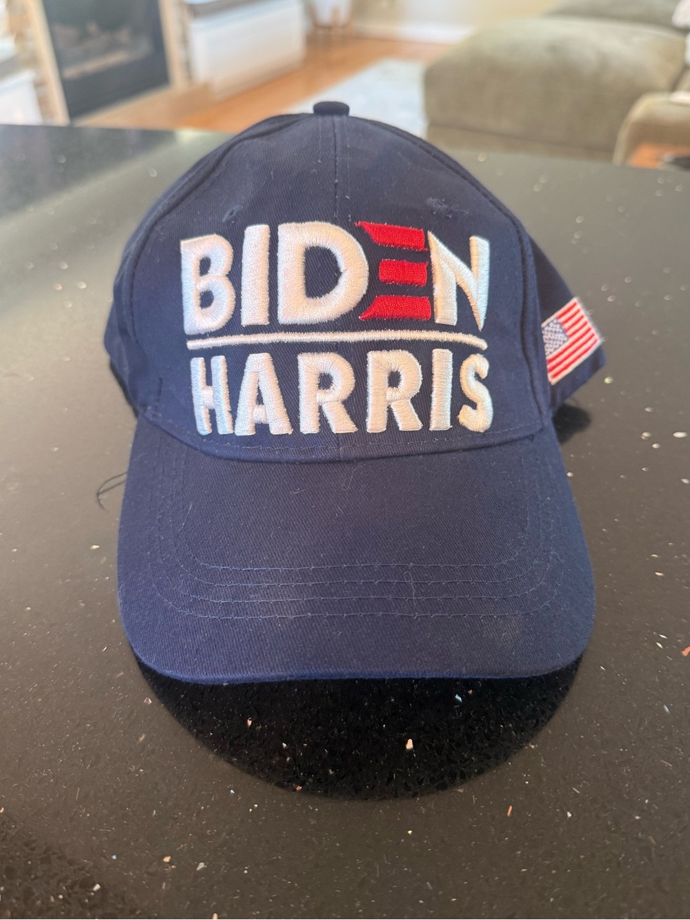 Biden Harris USA Democratic Navy Embroidered Baseball Cap